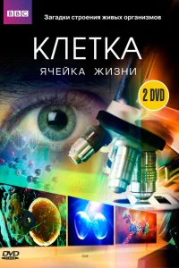  BBC: Клетка  2009