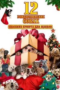  12 рождественских собак: Спасение приюта для щенков  2012