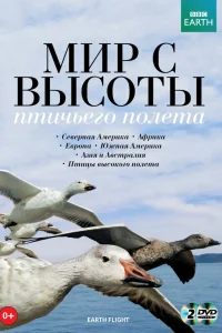  Мир с высоты птичьего полета  2011