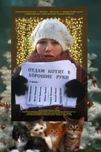  Отдам котят в хорошие руки  2012