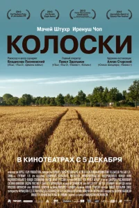  Колоски  2012