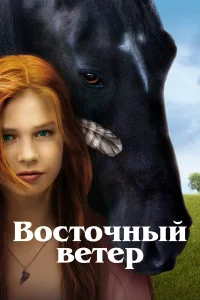  Восточный ветер  2013