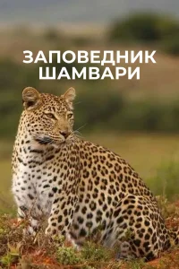  Заповедник Шамвари  2018