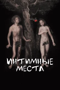  Интимные места  2013