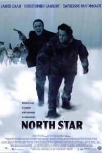  Северная звезда  1996