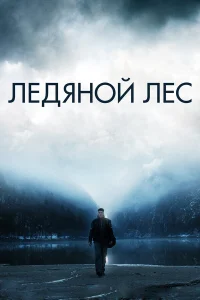  Ледяной лес  2014