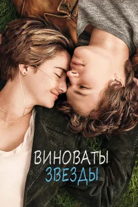  Виноваты звезды  2014