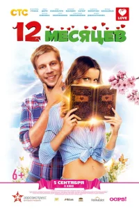  12 месяцев  2013