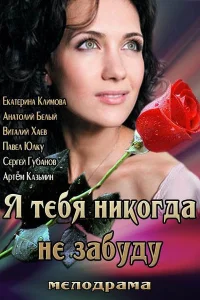  Я тебя никогда не забуду  2013