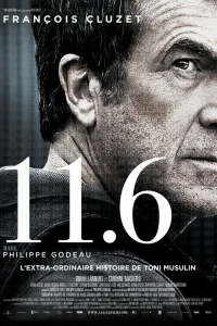  11.6  2013