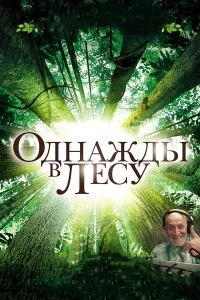  Однажды в лесу  2013