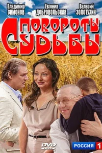  Повороты судьбы  2013