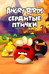 Энгри Бёрдс — сердитые птички  2013