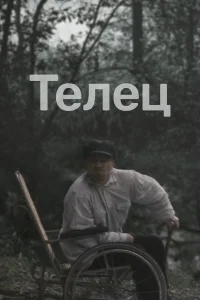 Телец  2000
