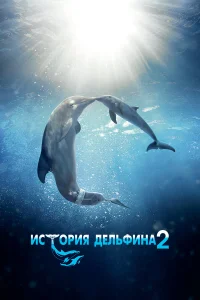  История дельфина 2  2014