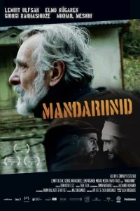  Мандарины  2013
