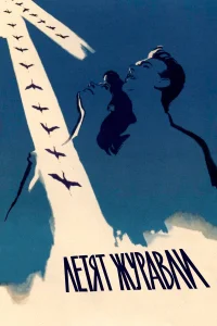 Летят журавли  1957
