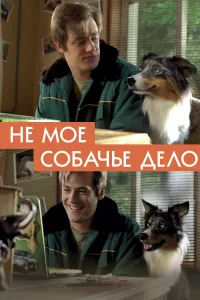  Не моё собачье дело  2020