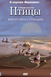  Птицы  2001