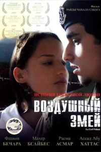  Воздушный змей  2003