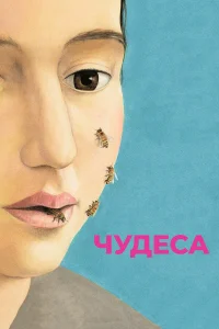  Чудеса  2014
