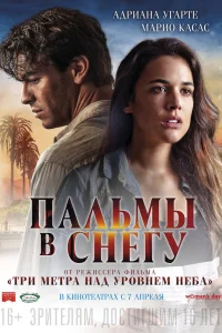  Пальмы в снегу  2015