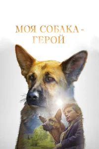  Моя собака — герой  2019