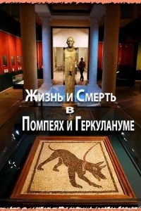  Жизнь и смерть в Помпеях и Геркулануме  2013