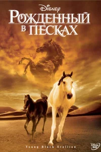  Рожденный в песках  2003