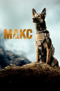  Макс  2015