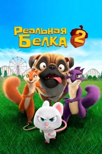  Реальная белка 2  2017