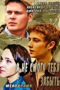  Я не смогу тебя забыть  2013