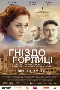  Гнездо горлицы  2014