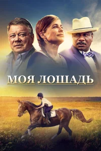  Моя лошадь  2016
