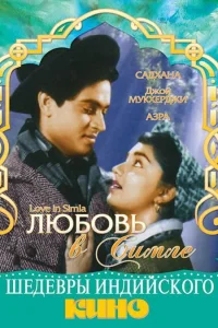  Любовь в Симле  1960
