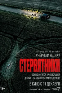  Стервятники  2025