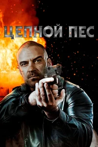  Цепной пёс  2020