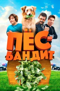  Пёс Бандит  2016