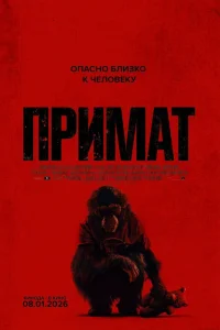  Примат  2025