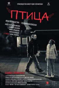  Птица  2016