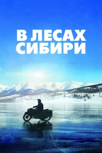  В лесах Сибири  2016