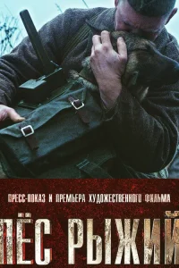  Пёс рыжий  2016