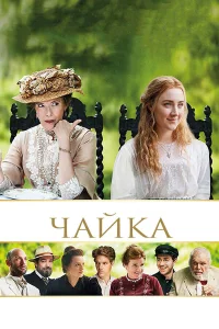  Чайка  2018