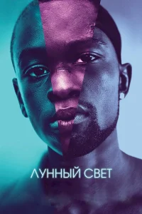  Лунный свет  2016