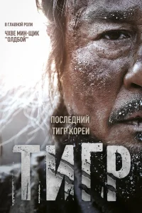  Тигр  2015