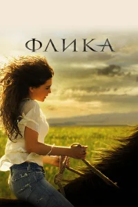  Флика  2006