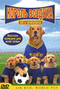  Король воздуха: Лига чемпионов  2000