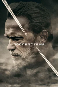  Последствия  2017