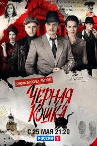  Чёрная кошка  2016