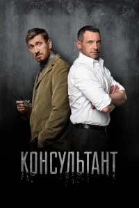  Консультант  2017